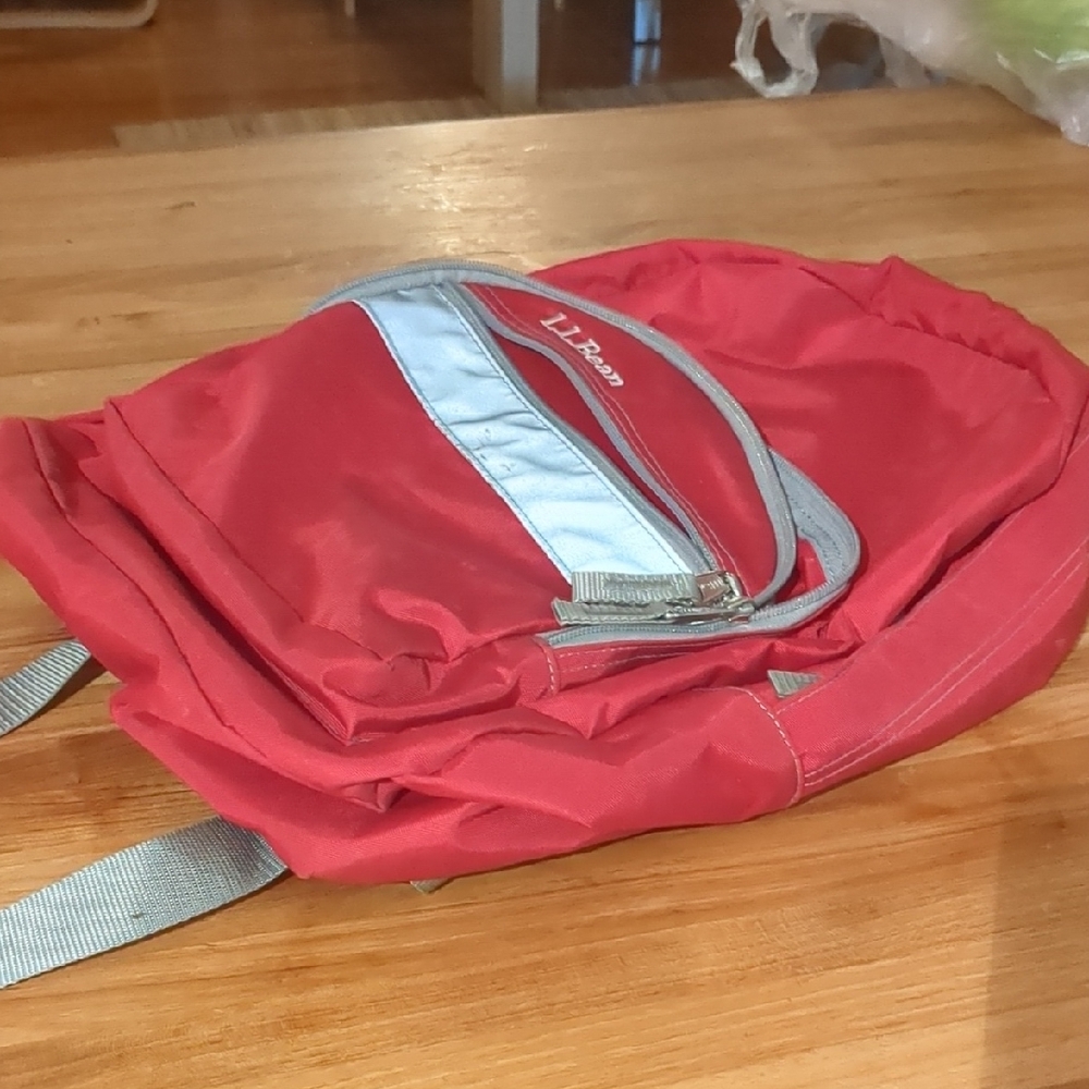 L.L. Bean Red Nylon Bag